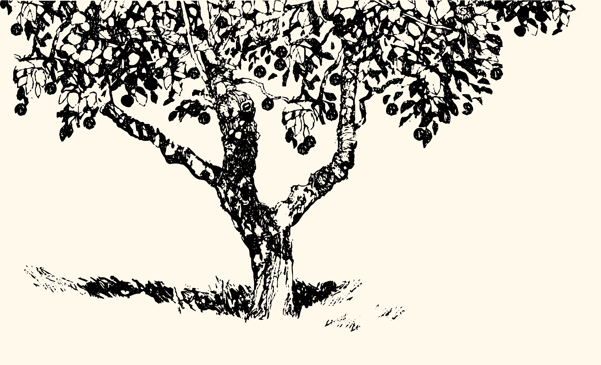 Nature_demy_doux 375